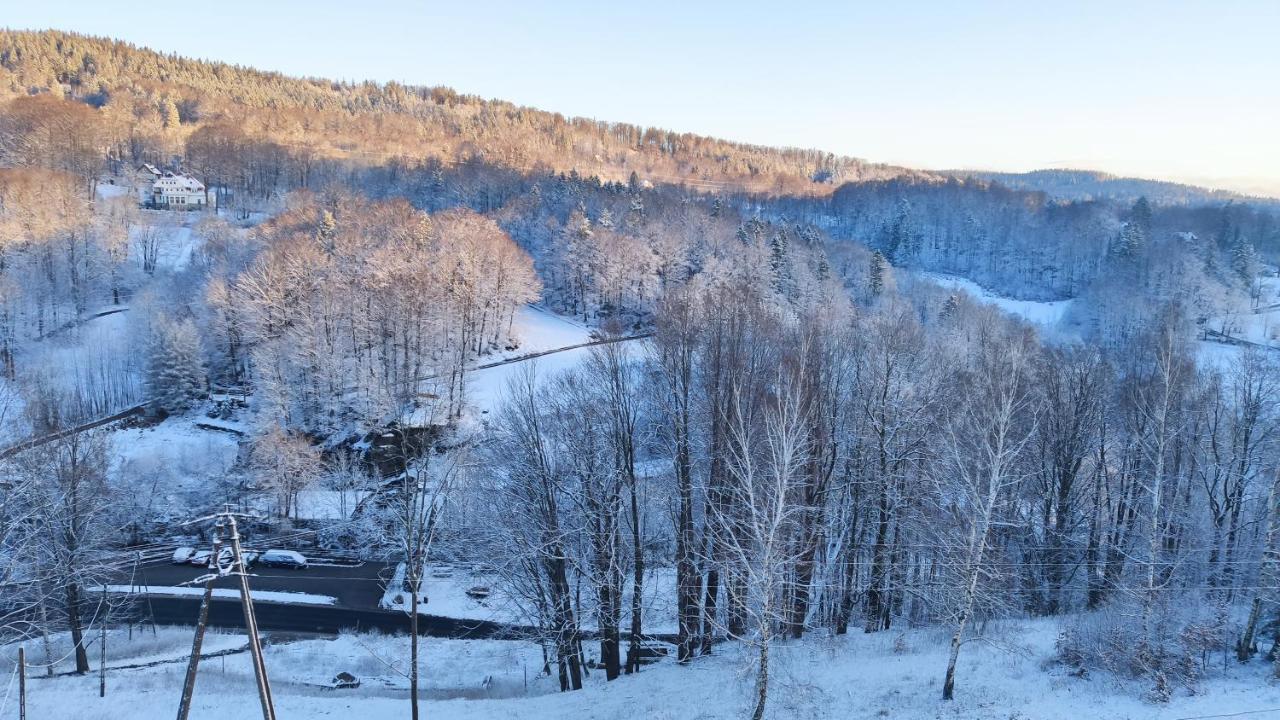 Pensjonat Orla Skala Шклярска Поремба Екстериор снимка